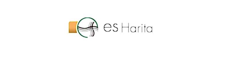 Es Harita